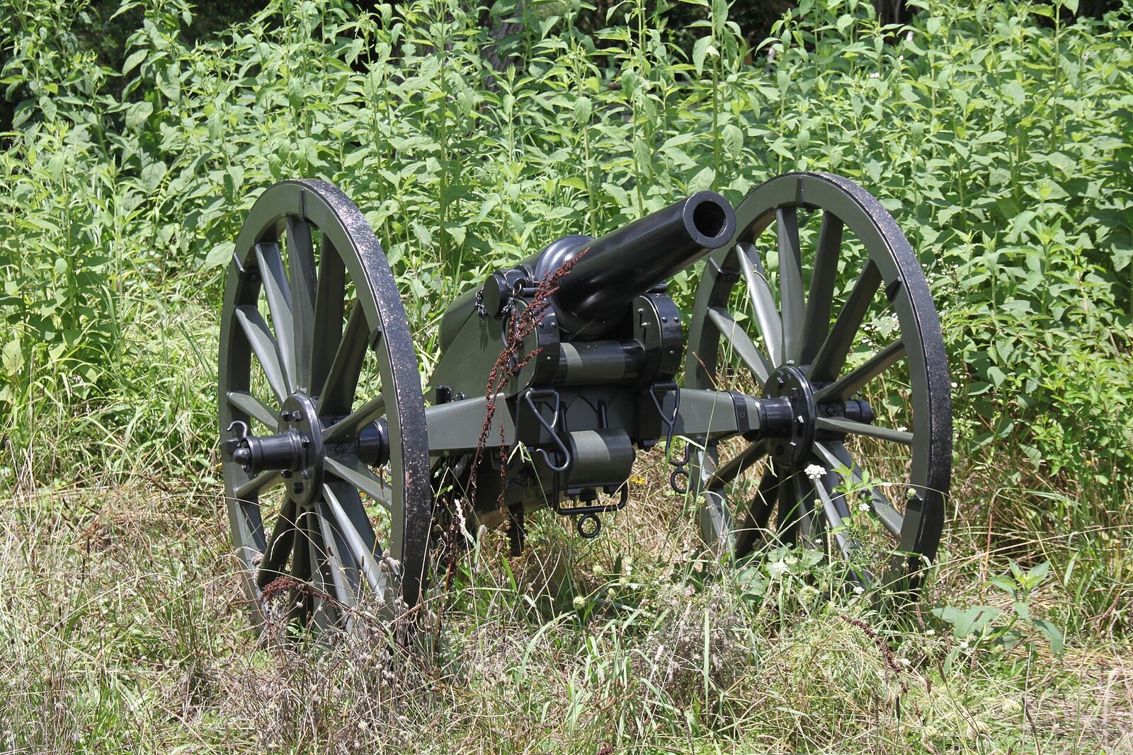 A cannon among the cedars and rocks of the Slaughter Pen